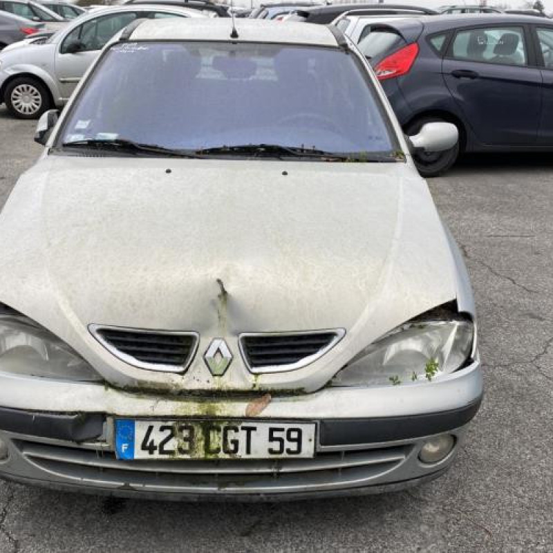 Neiman RENAULT MEGANE 1 Photo n°11