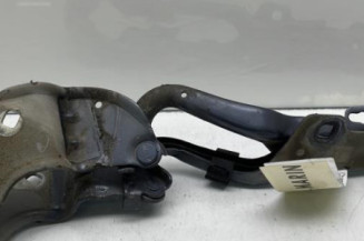 Charniere de capot RENAULT CLIO 3 Photo n°1