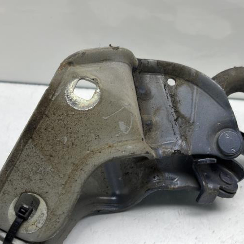 Charniere de capot RENAULT CLIO 3 Photo n°3