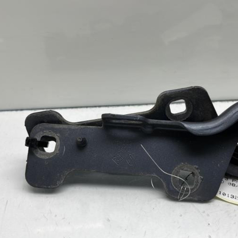Charniere de capot RENAULT CLIO 3 Photo n°5
