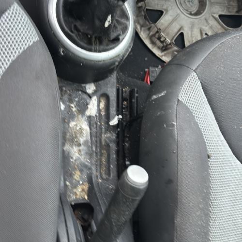 Pedale d'accelerateur CITROEN C3 PLURIEL Photo n°17