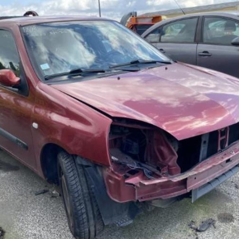 Baguette de porte arriere droite RENAULT CLIO 2 Photo n°1