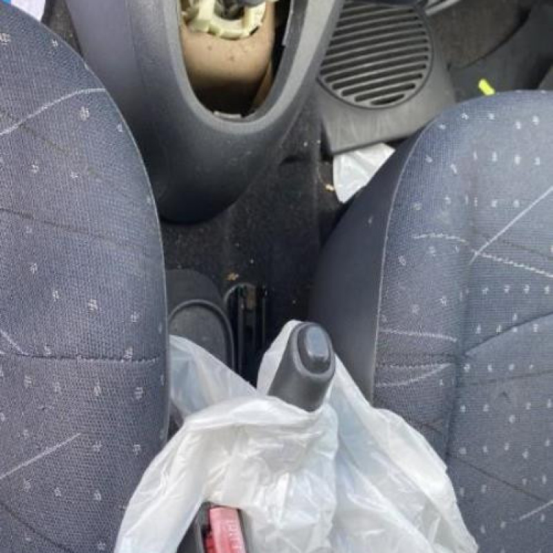 Baguette de porte arriere droite RENAULT CLIO 2 Photo n°3