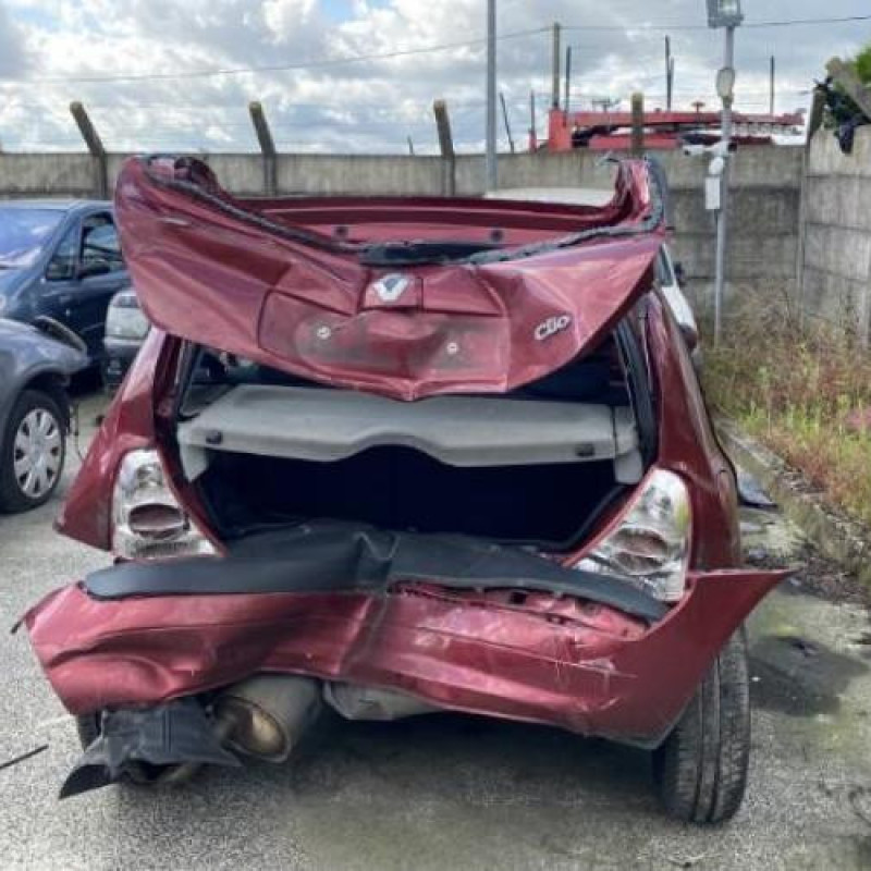 Baguette de porte arriere droite RENAULT CLIO 2 Photo n°8