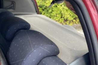 Baguette de porte arriere droite RENAULT CLIO 2