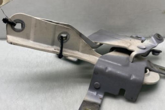 Charniere de capot RENAULT CLIO 4