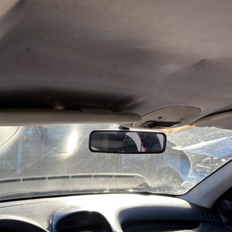 Glace retroviseur droit PEUGEOT 206 Photo n°16