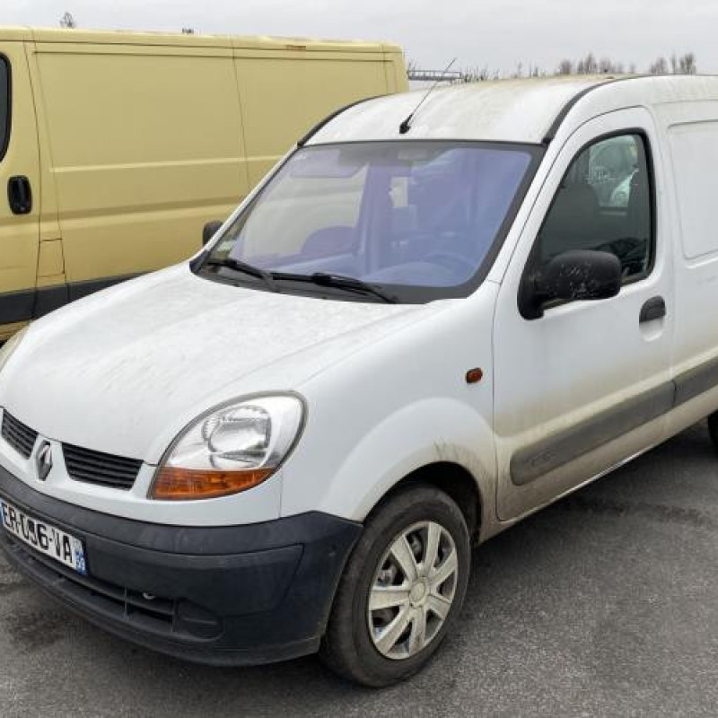 Porte avant droit RENAULT KANGOO 1 Photo n°8