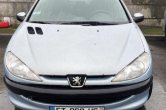 Glace retroviseur droit PEUGEOT 206