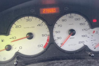 Glace retroviseur droit PEUGEOT 206