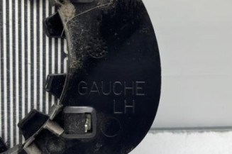 Glace retroviseur gauche PEUGEOT 206