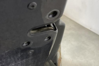 Porte arriere gauche RENAULT LATITUDE