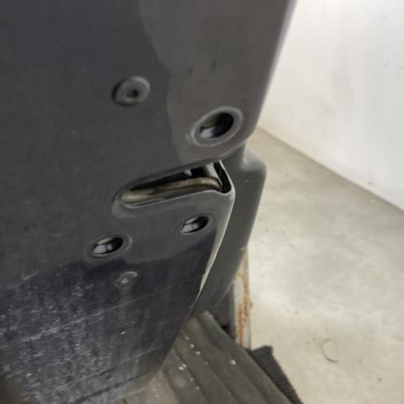 Porte arriere gauche RENAULT LATITUDE Photo n°3