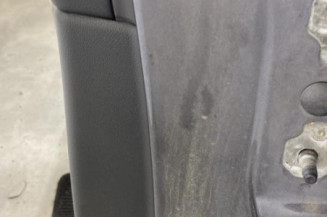 Porte arriere gauche RENAULT LATITUDE