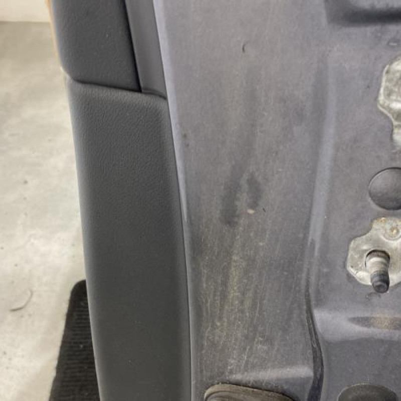 Porte arriere gauche RENAULT LATITUDE Photo n°4
