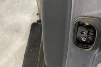 Porte arriere gauche RENAULT LATITUDE