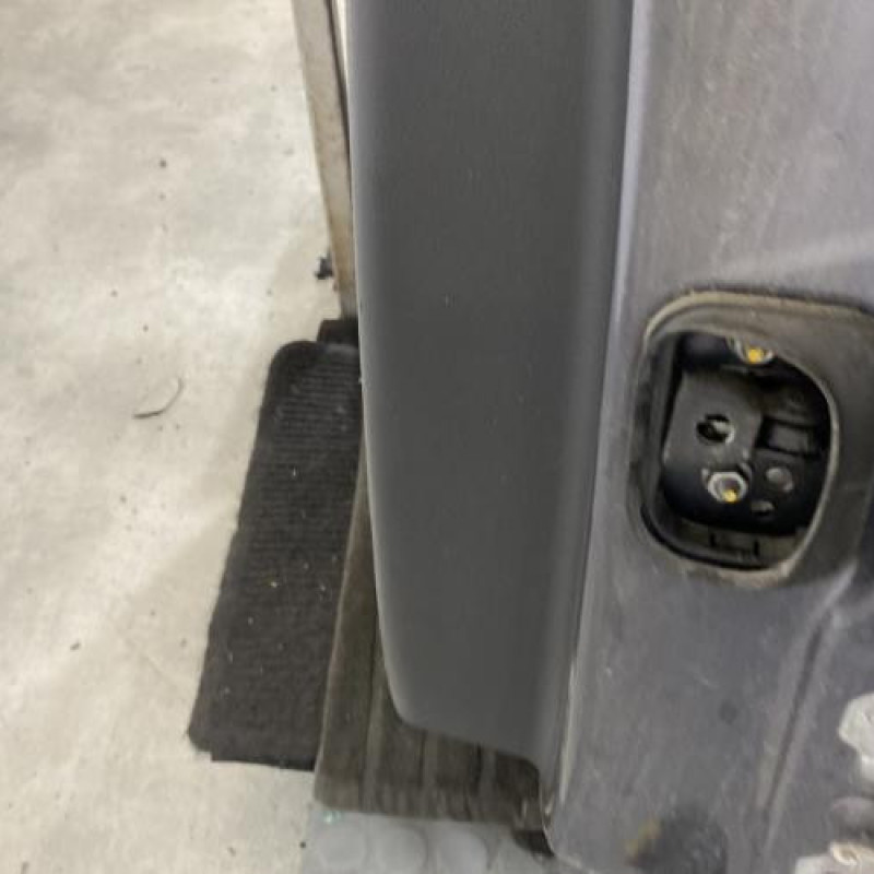 Porte arriere gauche RENAULT LATITUDE Photo n°5