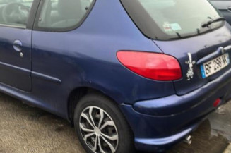 Bouton de warning PEUGEOT 206
