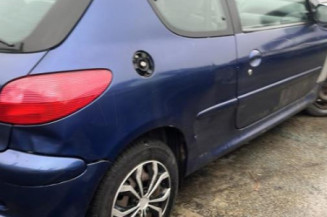 Bouton de warning PEUGEOT 206