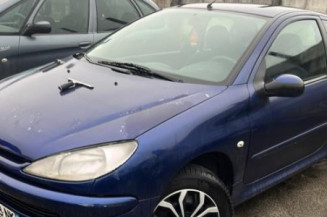 Bouton de warning PEUGEOT 206