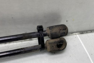 Verin de coffre FIAT QUBO