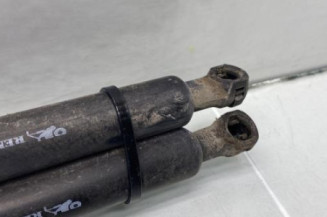 Verin de coffre RENAULT SCENIC 3