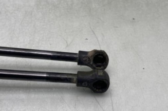 Verin de coffre RENAULT SCENIC 3
