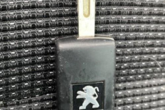 Resistance chauffage PEUGEOT 5008 1