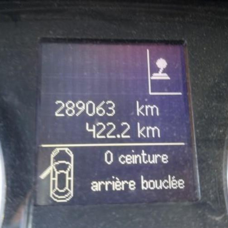 Plage arriere RENAULT LAGUNA 3 Photo n°19