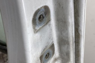 Porte avant gauche RENAULT TRAFIC 2