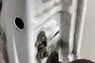 Porte avant gauche RENAULT TRAFIC 2