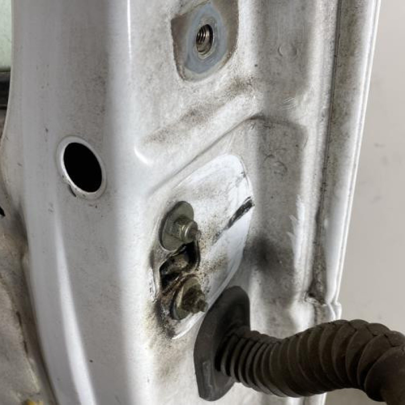 Porte avant gauche RENAULT TRAFIC 2 Photo n°6