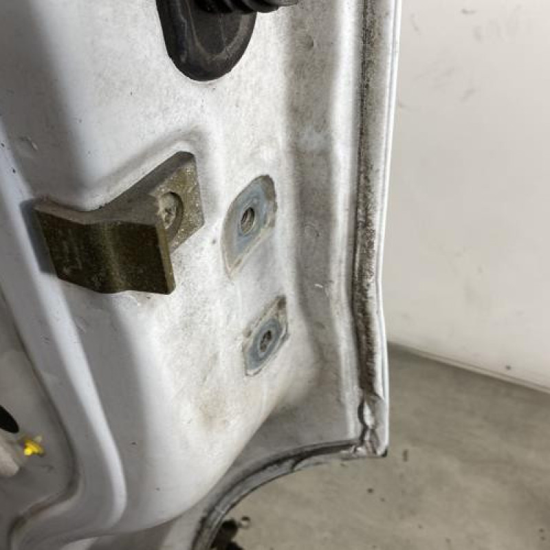 Porte avant gauche RENAULT TRAFIC 2 Photo n°7