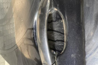 Porte avant gauche VOLKSWAGEN EOS