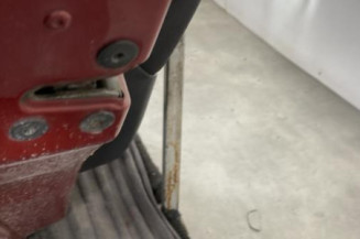 Porte arriere gauche RENAULT MODUS