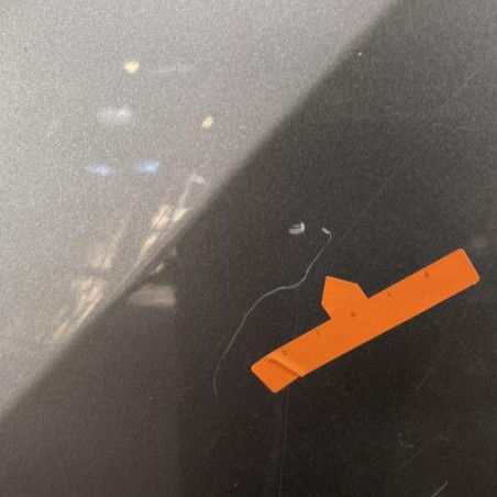 Porte arriere droit RENAULT GRAND MODUS