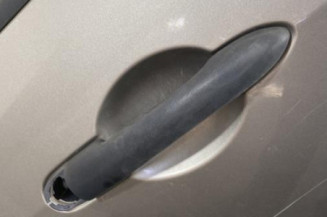 Porte arriere droit RENAULT GRAND MODUS