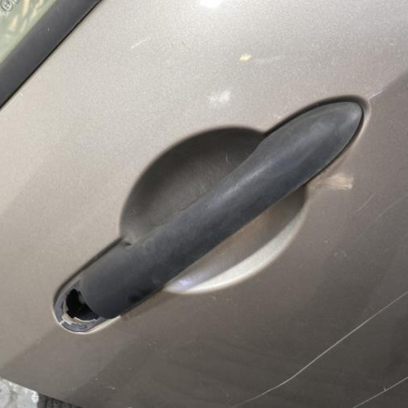 Porte arriere droit RENAULT GRAND MODUS Photo n°3