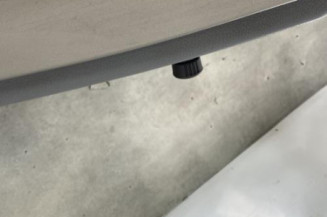 Porte arriere droit RENAULT GRAND MODUS