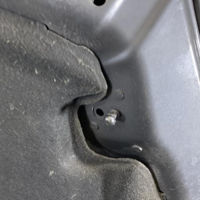 Capot OPEL INSIGNIA 1 Photo n°9