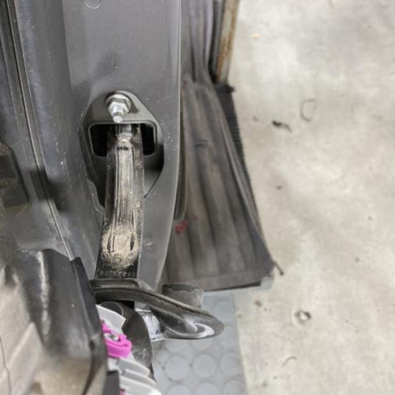 Porte arriere droit OPEL INSIGNIA 1 Photo n°3