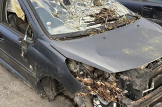 Pare choc arriere PEUGEOT 207