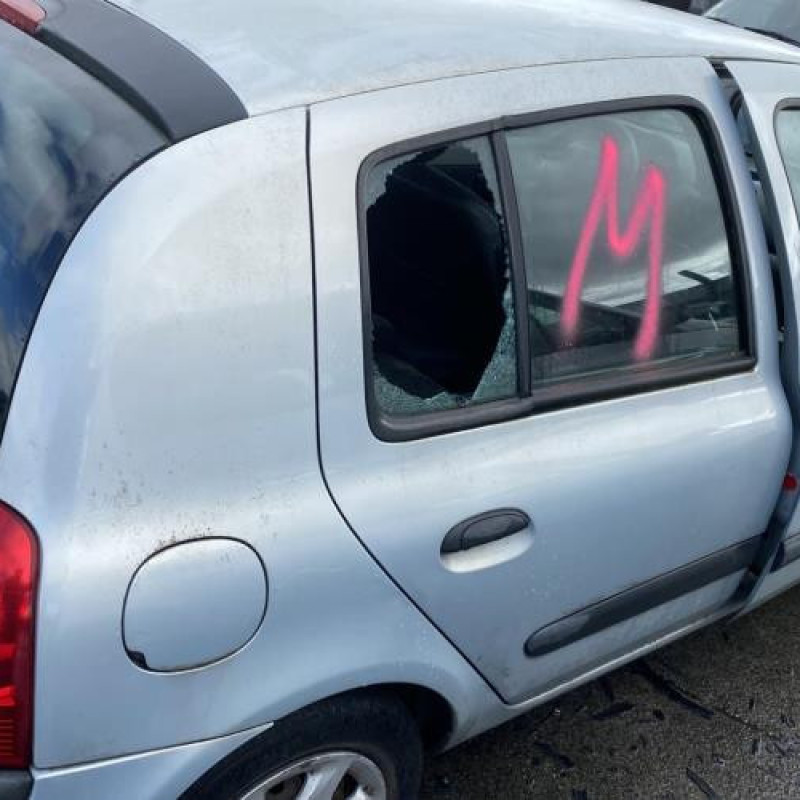 Porte arriere droit RENAULT CLIO 2 Photo n°7