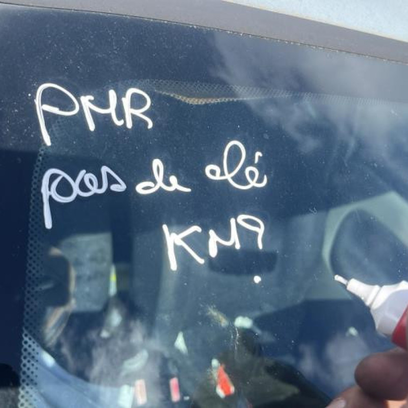 Porte arriere droit RENAULT CLIO 2 Photo n°11