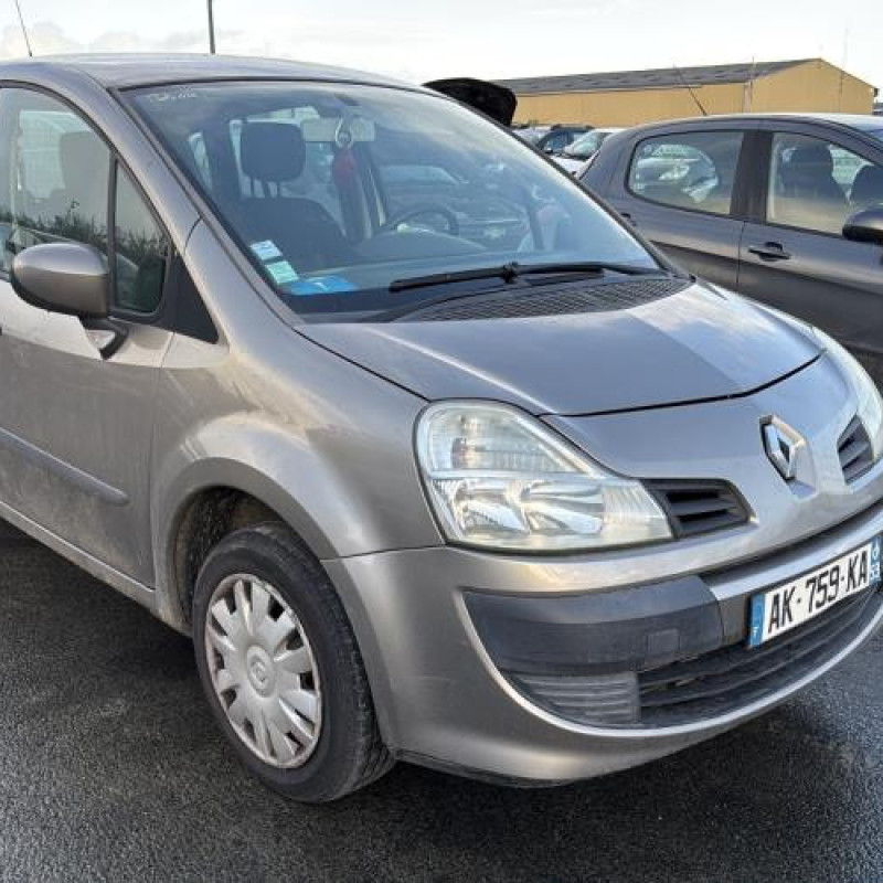 Custode arriere gauche (porte) RENAULT GRAND MODUS Photo n°7