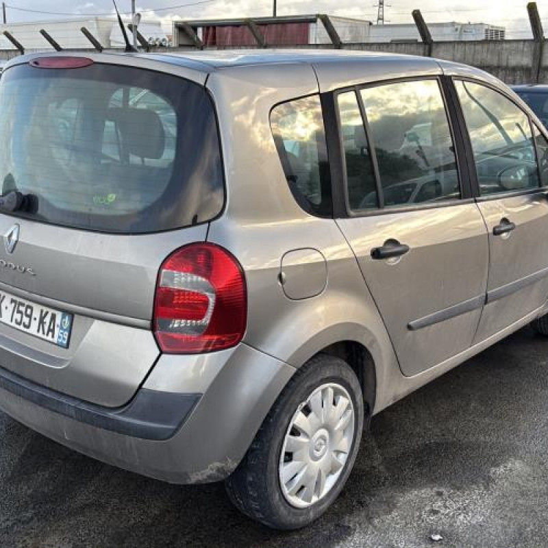 Custode arriere gauche (porte) RENAULT GRAND MODUS Photo n°8