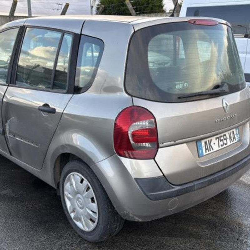 Custode arriere gauche (porte) RENAULT GRAND MODUS Photo n°9