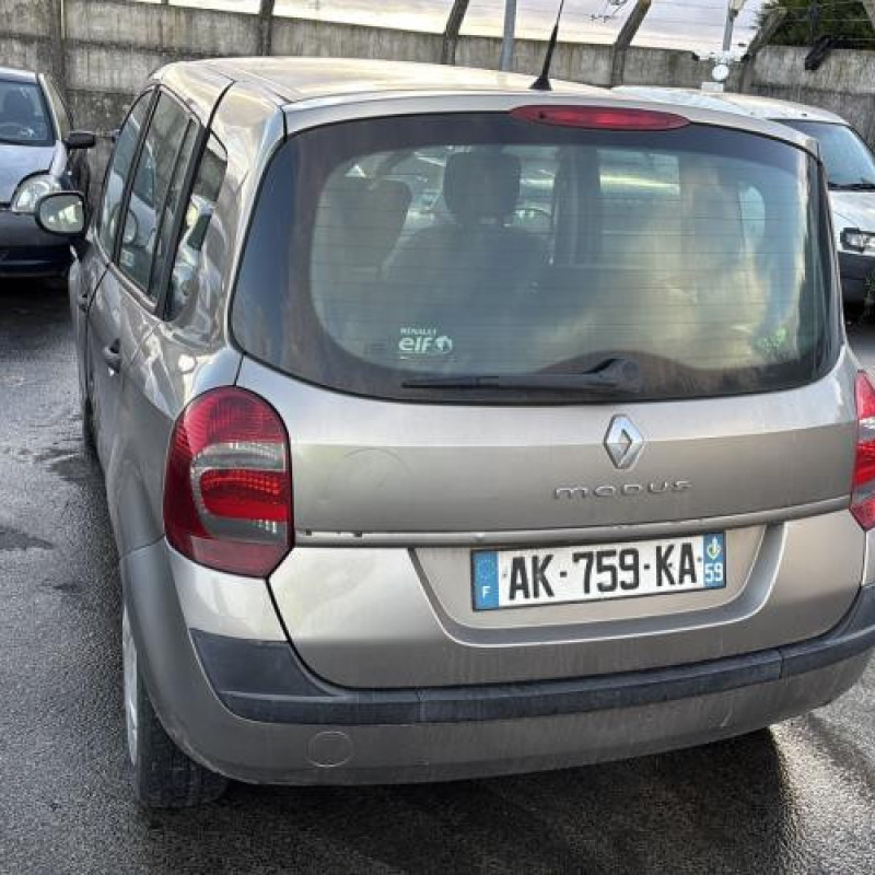 Custode arriere gauche (porte) RENAULT GRAND MODUS Photo n°10