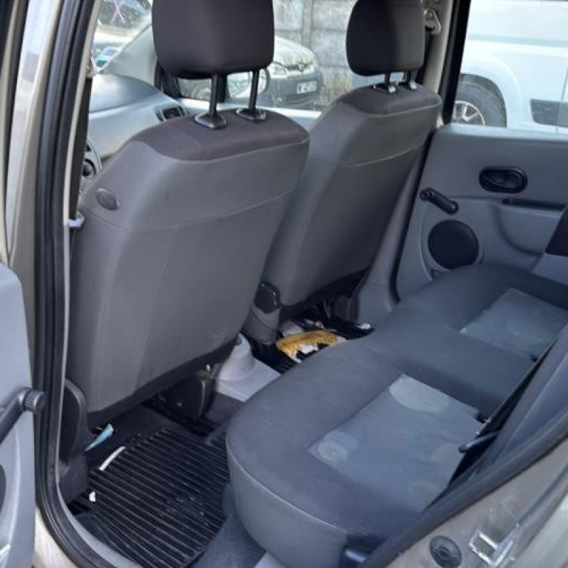 Custode arriere gauche (porte) RENAULT GRAND MODUS Photo n°15