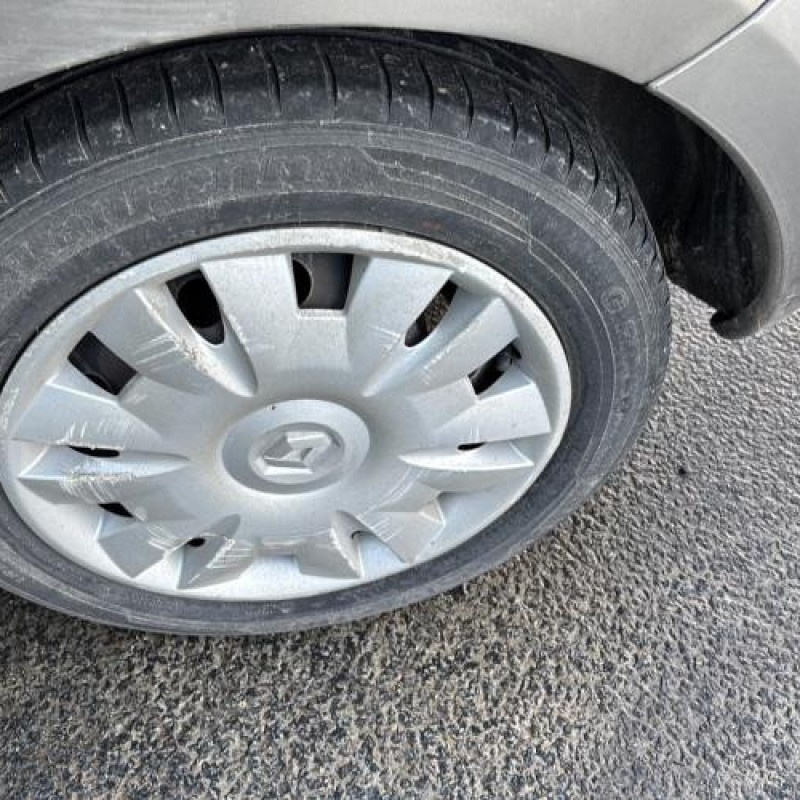 Custode arriere gauche (porte) RENAULT GRAND MODUS Photo n°19